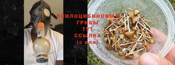 хмурый Балабаново