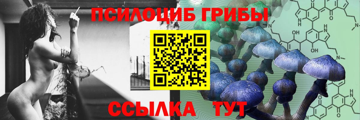 Белая Калитва  Псилоцибиновые грибы ЛСД  Вход с VPN  Галлюциногенные грибы GOLDEN TEACHER 